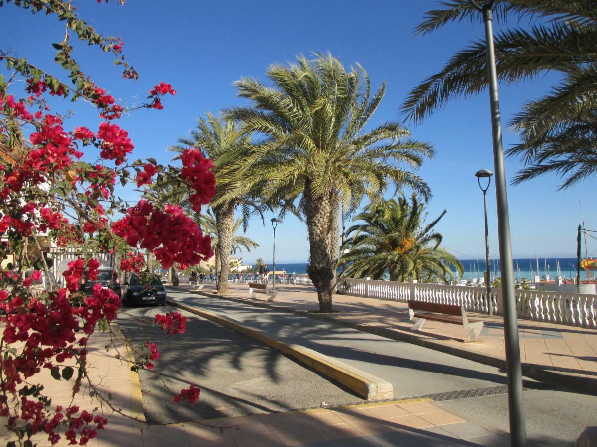 Apartamento Playa Elisa Bay Pilar de la Horadada Exterior foto